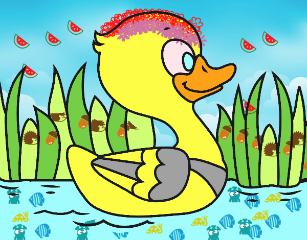 Patito de río