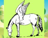 Pegaso 1