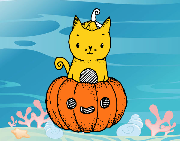 Un gatito de Halloween