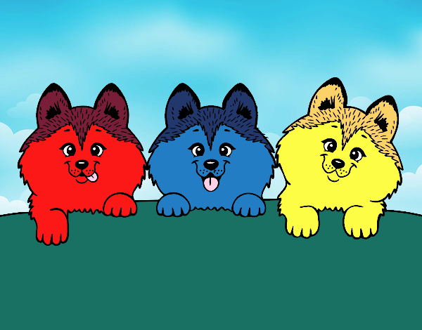 Perro Rojo, Perro Azul y Perro Amarillo