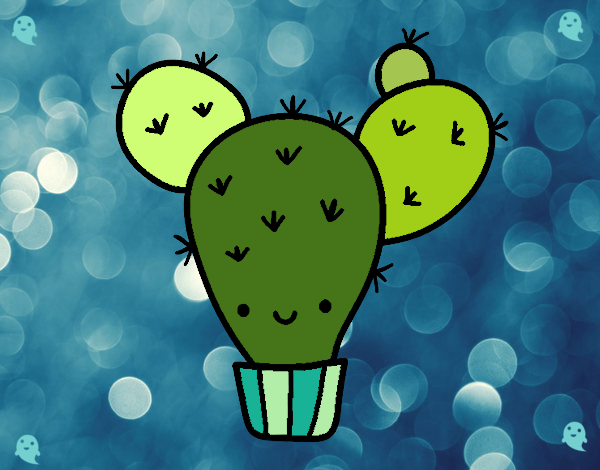 Cactus nopal