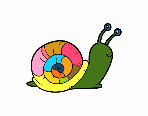 El caracol