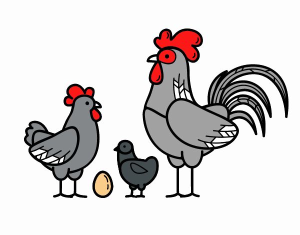 Familia gallina