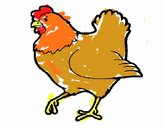 Gallina