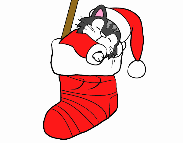 gato  dormido  en  un   calcetin  de navidad