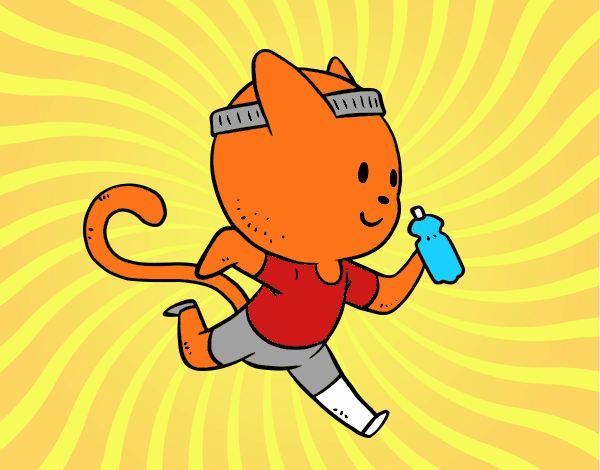 Gato runner