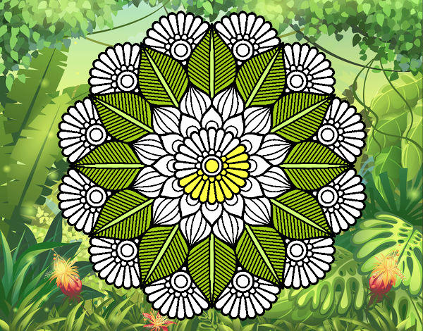 Mandala jardín vegetal