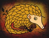 Pangolin