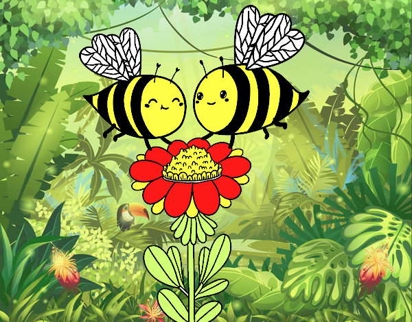 Pareja de abejas