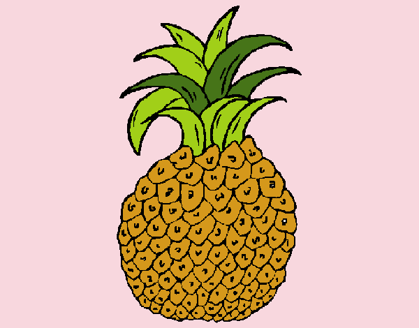 piña