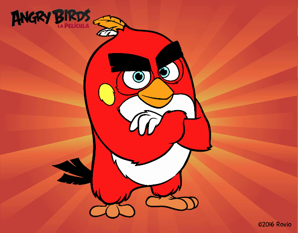 Red de Angry Birds