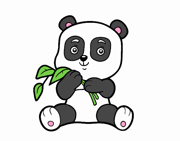 el   oso    panda   bebe