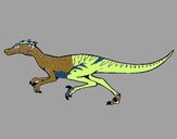 Velociraptor