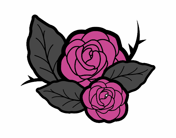 Dos rosas