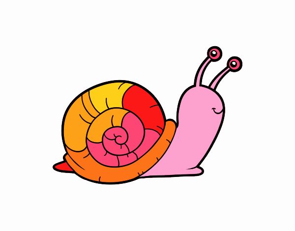 El caracol