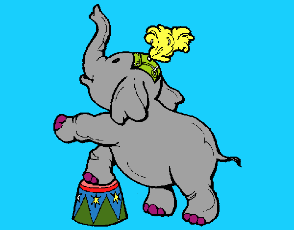 Elefante