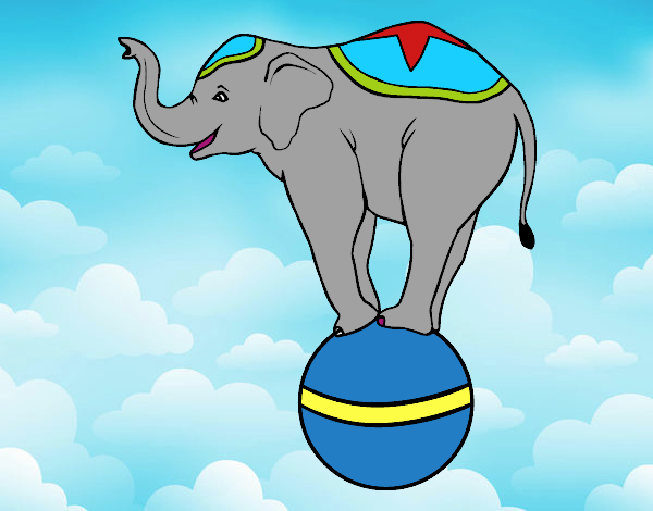 Elefante equilibrista