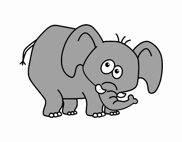 Elefante vergonzoso