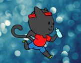 Gato runner