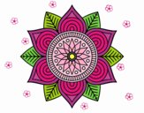 Mandala flor estelar