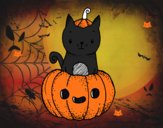 Un gatito de Halloween