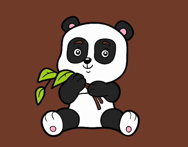 Un oso panda