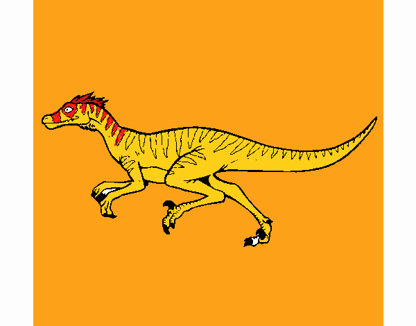 Velociraptor