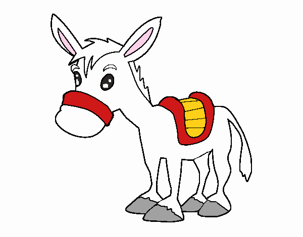 Burro de granja