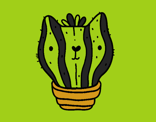 Cactus gato