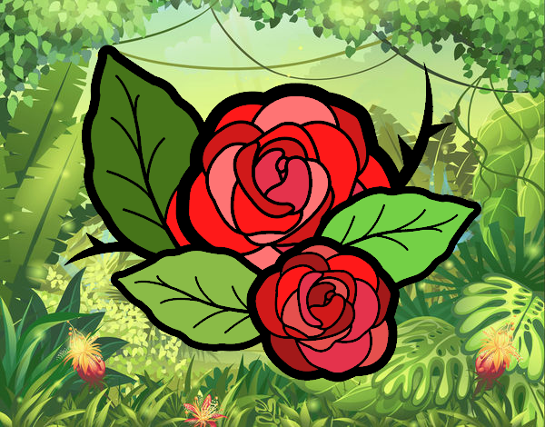 Dos rosas