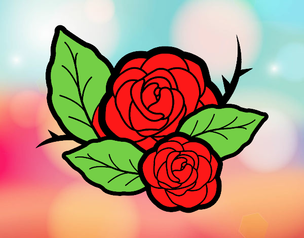 Dos rosas