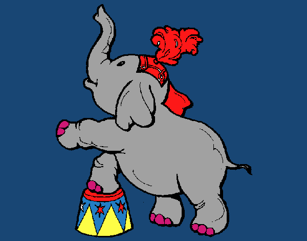 Elefante