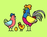 Familia gallina