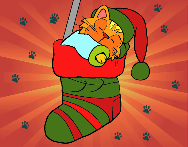 Gatito durmiendo en un calcetín de Navidad