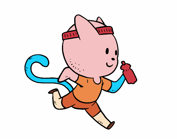 Gato runner