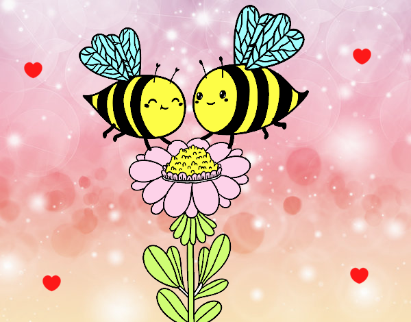 Pareja de abejas