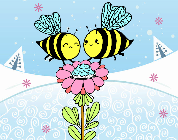 Pareja de abejas