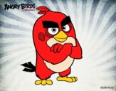 Red de Angry Birds