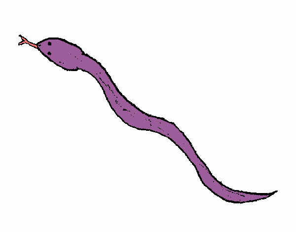 Serpiente Morada