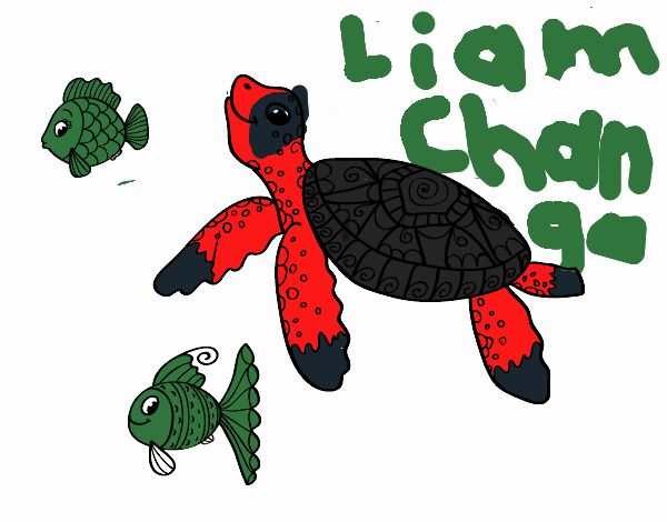 Tortuguita Liam chango