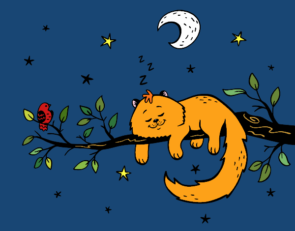 El gato y la luna