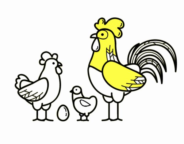 Familia gallina