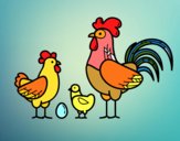 Familia gallina