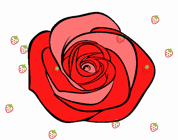 Flor de rosa