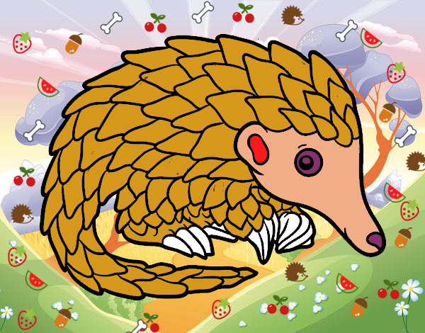 Pangolin