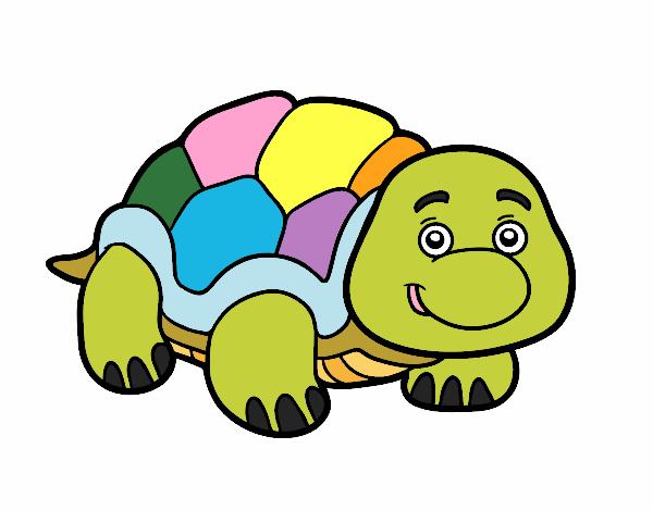 tortuhappy