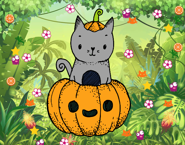 Un gatito de Halloween