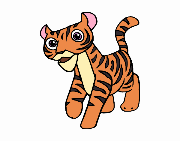 El pelaje de Tigre es naranja con rayas negro 🧡 Los ojos de la mascotas son violetas.