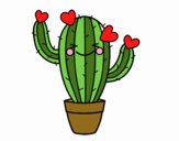 Cactus corazón