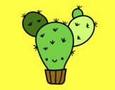 Cactus nopal